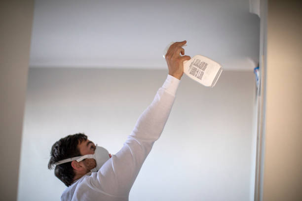 Best Attic Mold Removal  in Salisbury, MD