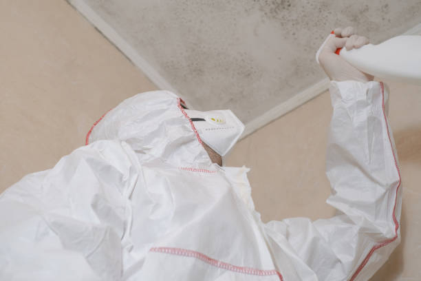 Best Certified Mold Removal  in Salisbury, MD